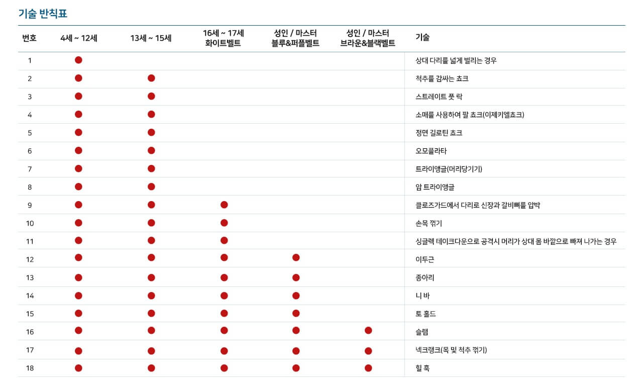 IBJJF 주짓수 규칙(룰북) 요약(2018년)