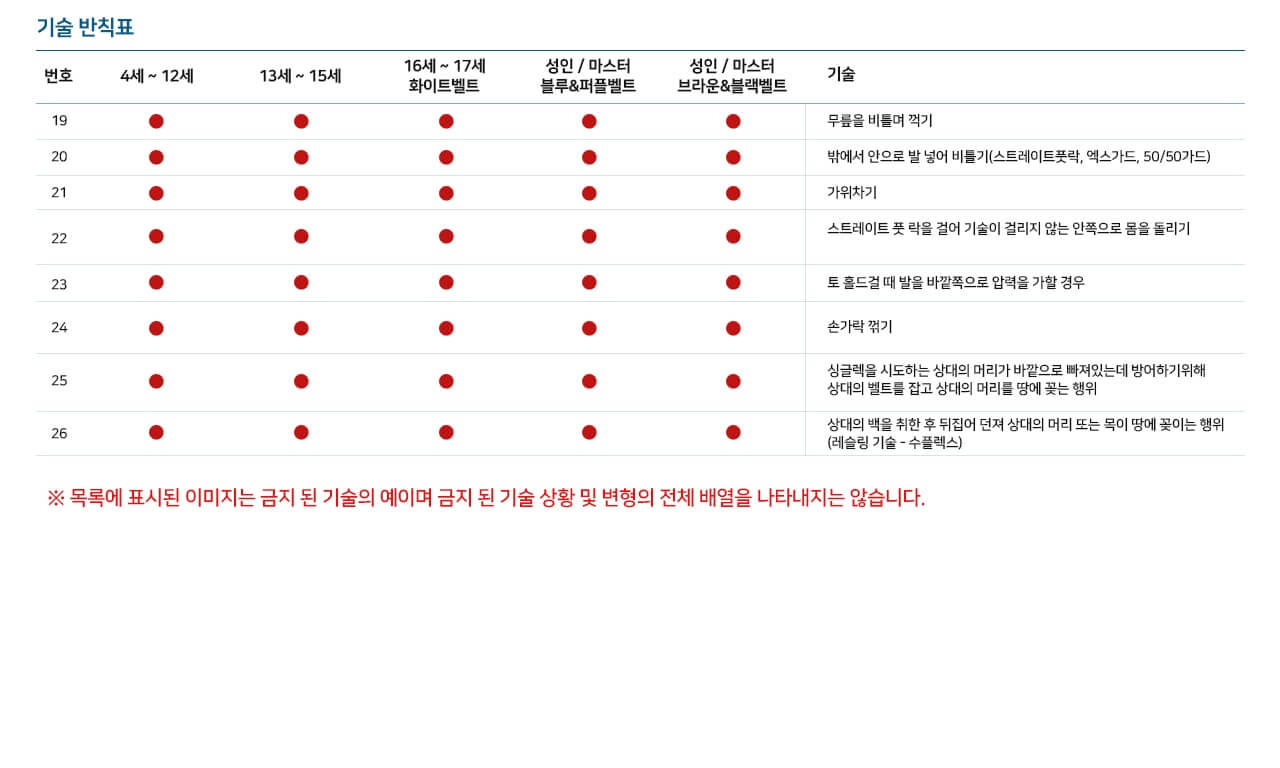 IBJJF 주짓수 규칙(룰북) 요약(2018년)