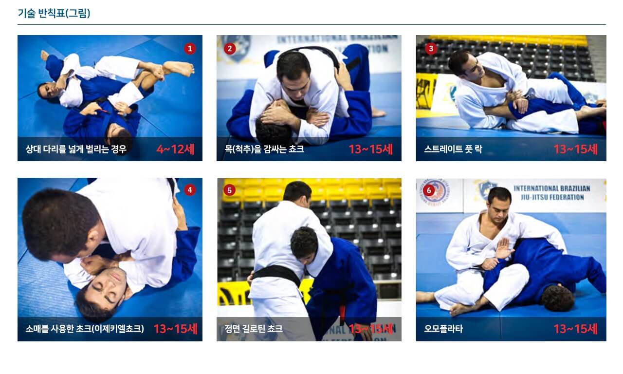 IBJJF 주짓수 규칙(룰북) 요약(2018년)