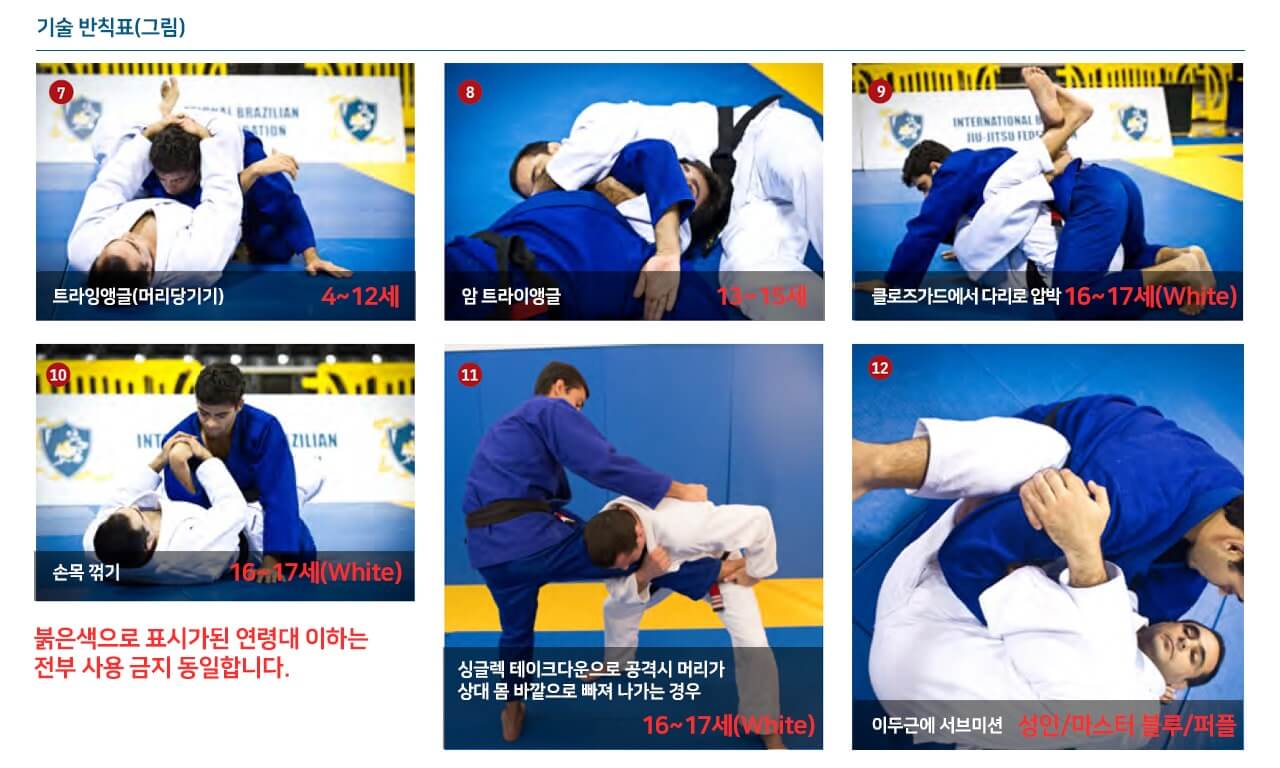 IBJJF 주짓수 규칙(룰북) 요약(2018년)