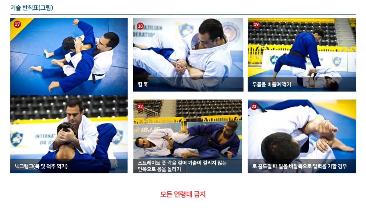 IBJJF 주짓수 규칙(룰북) 요약(2018년)